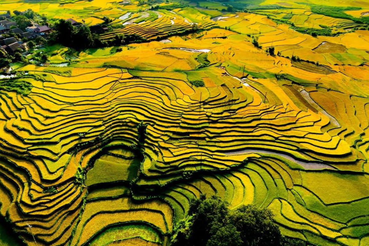 Ha Thanh Village